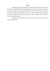 Priėmimų etiketas 11 puslapis