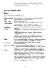 Prieskoniai ir jų panaudojimas 14 puslapis
