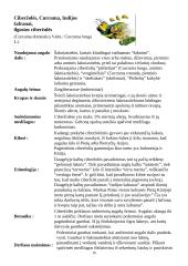 Prieskoniai ir jų panaudojimas 15 puslapis
