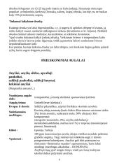 Prieskoniai ir jų panaudojimas 7 puslapis