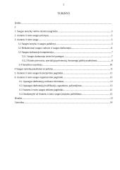 Privačios saugos tarnybos ir jų santykiai su policija 2 puslapis