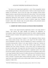 Privačios saugos tarnybos ir jų santykiai su policija 11 puslapis