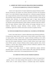 Privačios saugos tarnybos ir jų santykiai su policija 12 puslapis