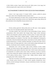 Privačios saugos tarnybos ir jų santykiai su policija 13 puslapis