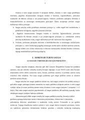 Privačios saugos tarnybos ir jų santykiai su policija 5 puslapis