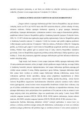 Privačios saugos tarnybos ir jų santykiai su policija 6 puslapis