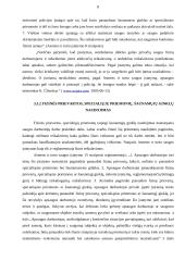 Privačios saugos tarnybos ir jų santykiai su policija 8 puslapis