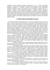 Privalomasis civilinės atsakomybės draudimas 3 puslapis