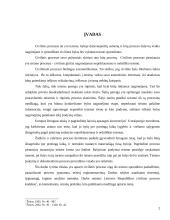 Procesinės įvykdymo problemos iki teismo sprendimo paskelbimo 2 puslapis