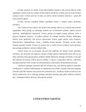 Procesinės įvykdymo problemos iki teismo sprendimo paskelbimo 8 puslapis