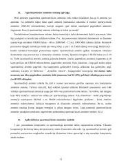 Procesoriai ir jų palaikymas 11 puslapis