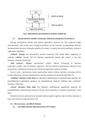 Procesoriai ir jų palaikymas 12 puslapis