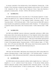 Procesoriai ir jų palaikymas 13 puslapis