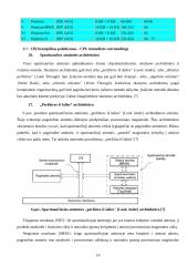Procesoriai ir jų palaikymas 16 puslapis