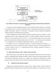 Procesoriai ir jų palaikymas 18 puslapis