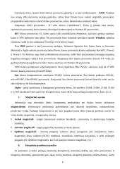 Procesoriai ir jų palaikymas 6 puslapis