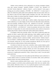 Profesinė taktika 2 puslapis