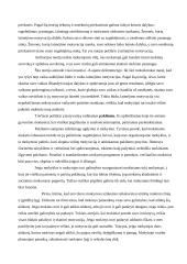 Profesinio pasirengimo motyvacijos žadinimas 3 puslapis