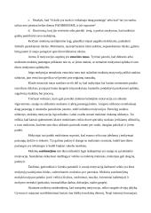 Profesinio pasirengimo motyvacijos žadinimas 5 puslapis