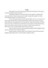 Profesinio pasirengimo motyvacijos žadinimas 8 puslapis