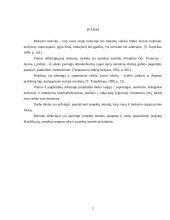 Projektų metodas 2 puslapis