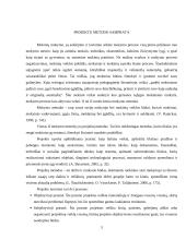 Projektų metodas 3 puslapis