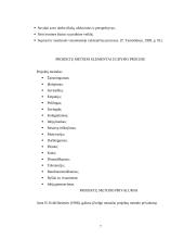 Projektų metodas 7 puslapis