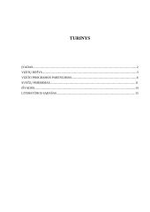 Protokolas valstybės valdyme