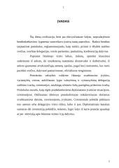 Protokolas valstybės valdyme 2 puslapis