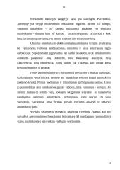 Protokolas valstybės valdyme 13 puslapis