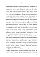 Protokolas valstybės valdyme 4 puslapis