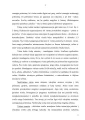 Protokolas valstybės valdyme 5 puslapis