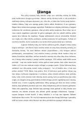 Protokoliniai moterų aprangos reikalavimai ir etiketas 2 puslapis