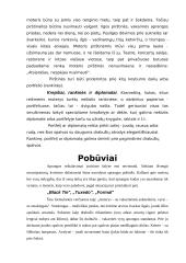 Protokoliniai moterų aprangos reikalavimai ir etiketas 11 puslapis