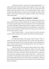 Protokoliniai moterų aprangos reikalavimai ir etiketas 12 puslapis