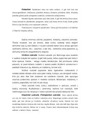 Protokoliniai moterų aprangos reikalavimai ir etiketas 5 puslapis