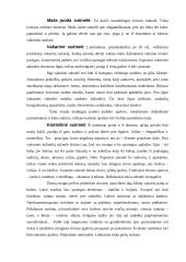 Protokoliniai moterų aprangos reikalavimai ir etiketas 6 puslapis