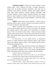 Protokoliniai moterų aprangos reikalavimai ir etiketas 7 puslapis