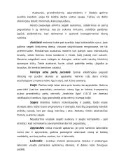 Protokoliniai moterų aprangos reikalavimai ir etiketas 9 puslapis