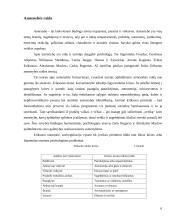 Raidos psichologijos tyrimo metodai ir asmenybės raida 6 puslapis