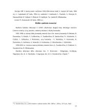 Rankinio laimėjimai Lietuvoje 12 puslapis