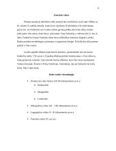 Rašto raida 8 puslapis