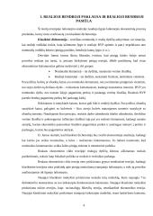 Realaus ekonominio ciklo teorija 4 puslapis