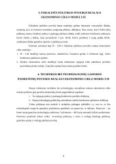 Realaus ekonominio ciklo teorija 8 puslapis