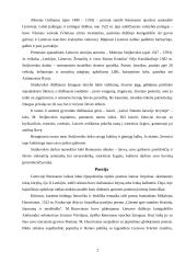 Renesanso literatūra Lietuvoje 2 puslapis