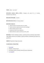 Renginio planas: "Rūkai - nesi kietas"