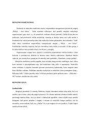 Renginio planas: "Rūkai - nesi kietas" 2 puslapis