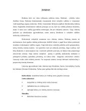 Rinkimų teisė 2 puslapis