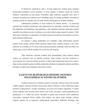 Rinkimų teisė 11 puslapis