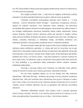 Rinkimų teisė 13 puslapis